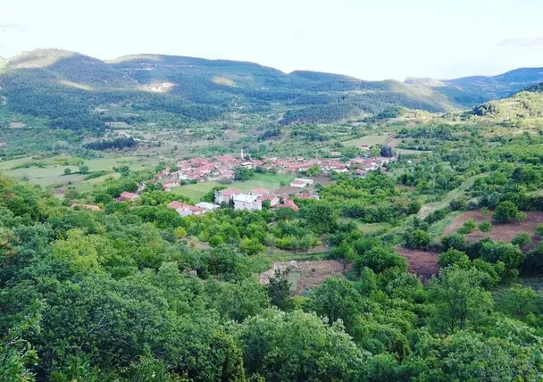 İlan Görseli 2
