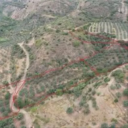 İlan Görseli 3