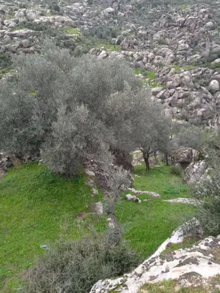 İlan Görseli 2