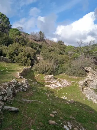 İlan Görseli 3