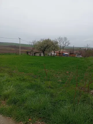 İlan Görseli 2