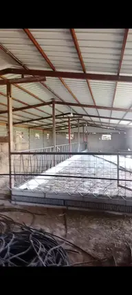 İlan Görseli 3