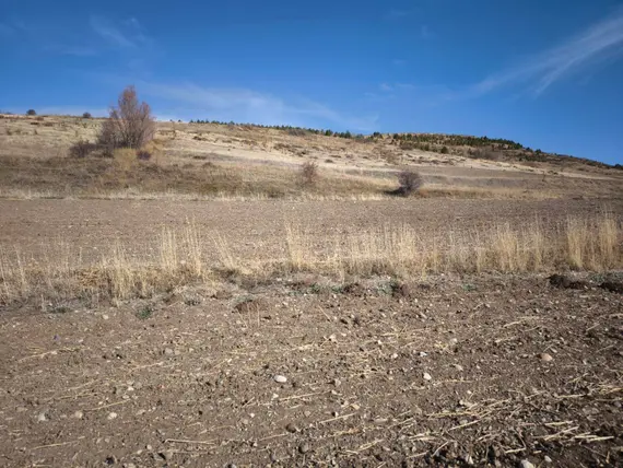 İlan Görseli 2