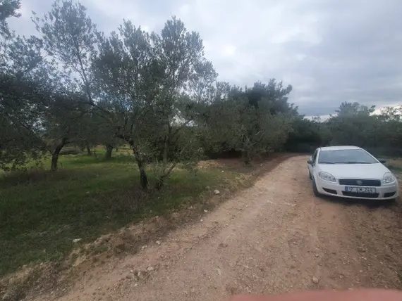 İlan Görseli 3