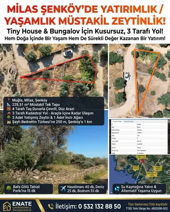 Muğla Milas Şenköy Mahallesi 228 m² satılık zeytinlik arsa - Fotoğraf 2