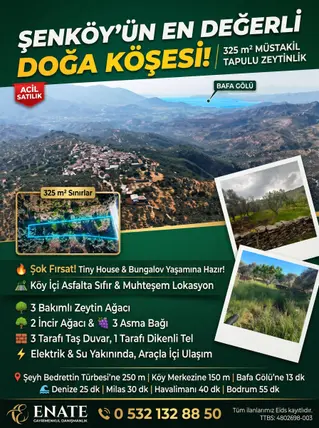 Muğla Milas Şenköy Mahallesi 326 m² satılık zeytinlik arsa - Fotoğraf 2