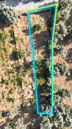 Muğla Milas Şenköy Mahallesi 326 m² satılık zeytinlik arsa - Fotoğraf 3