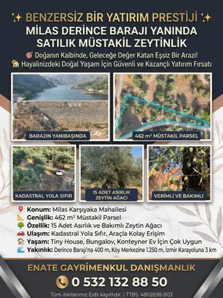 Muğla Milas Karşıyaka Mahallesi 462 m² satılık zeytinlik arsa - Fotoğraf 2