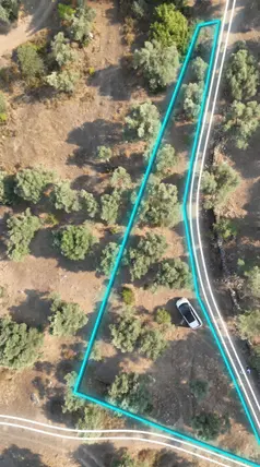 Muğla Milas Karşıyaka Mahallesi 462 m² satılık zeytinlik arsa - Fotoğraf 3