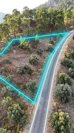 Muğla Milas Göldere Mahallesi 1.343 m² satılık zeytinlik arsa - Fotoğraf 3