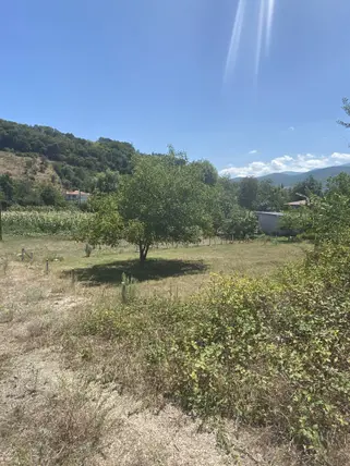 İlan Görseli 2