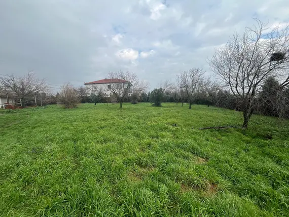 İlan Görseli 2