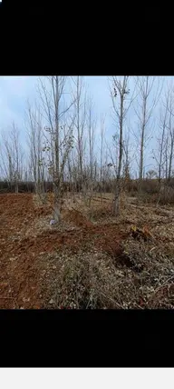 İlan Görseli 3