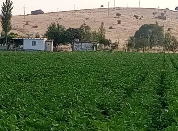 İlan Görseli 3