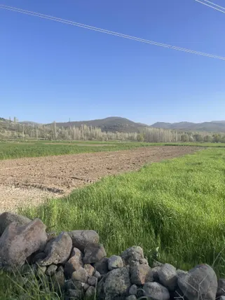 İlan Görseli 2