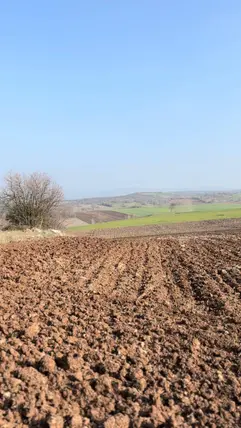 İlan Görseli 3