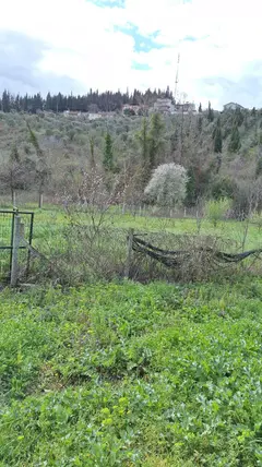 İlan Görseli 2