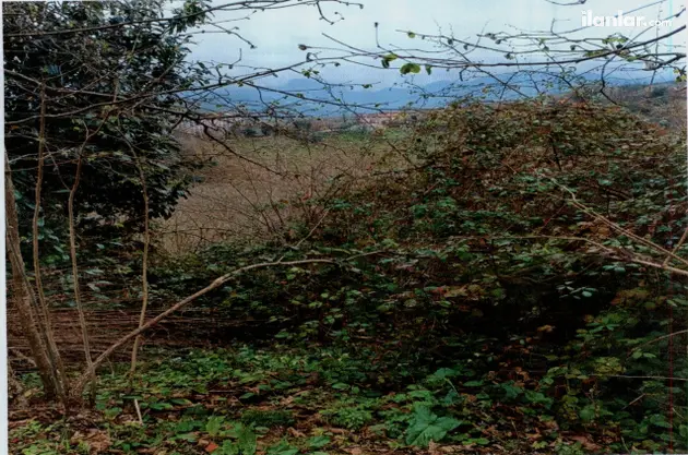 Trabzon Vakfıkebir Cumhuriyet Mahallesi 350 m² satılık konut arsa - Fotoğraf 3
