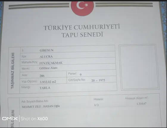 Giresun Alucra Fevzi Çakmak, Fatih Mahallesi 3.932 m² satılık çiftlik arsa - Fotoğraf 3