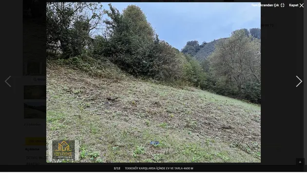 Samsun Tekkeköy Karışlar Mahallesi 4.617 m² satılık konut arsa - Fotoğraf 2