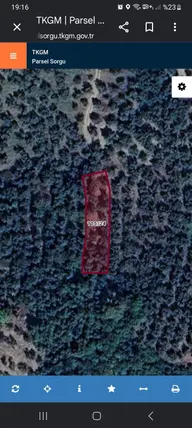 Bursa Orhangazi Gemiç Mahallesi 437 m² satılık zeytinlik arsa - Fotoğraf 3