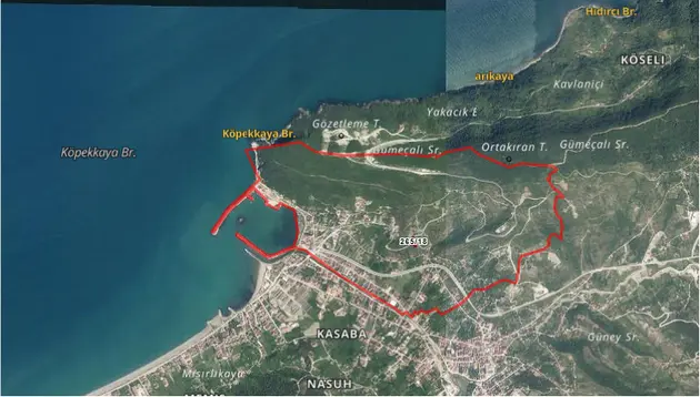 Kastamonu Cide Cumhuriyet Mahallesi 1.207 m² satılık konut arsa - Fotoğraf 2