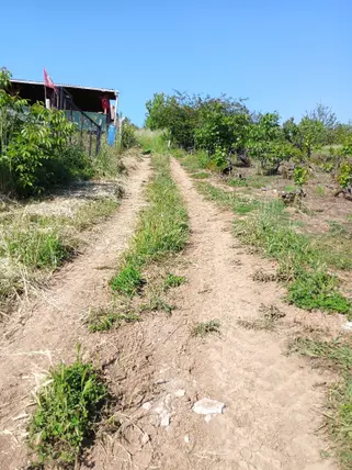 Sakarya Geyve Günhoşlar Mahallesi 360 m² satılık bağ & Bahçe arsa - Fotoğraf 2