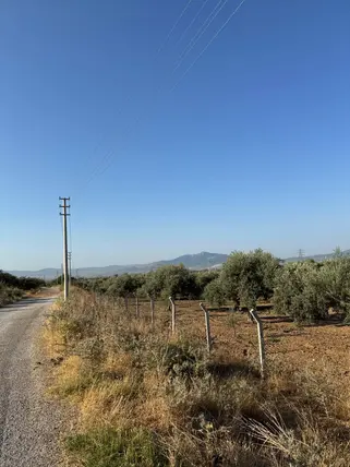 İlan Görseli 3