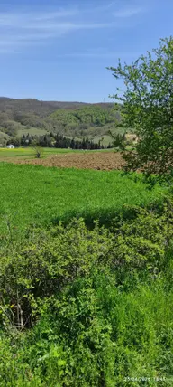 Bursa İznik Derbent Mahallesi 1.420 m² satılık villa arsa - Fotoğraf 2