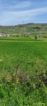 Bursa İznik Derbent Mahallesi 1.420 m² satılık villa arsa - Fotoğraf 3