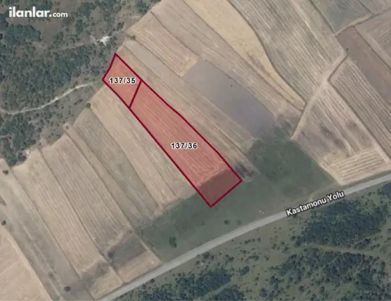 Kastamonu Merkez İbişler, Kadı Mahallesi 14.000 m² satılık tarla arsa - Fotoğraf 3