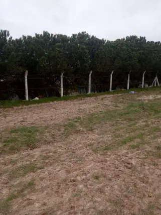 Tekirdağ Saray Kurtdere Mahallesi 1.960 m² satılık tarla arsa - Fotoğraf 3