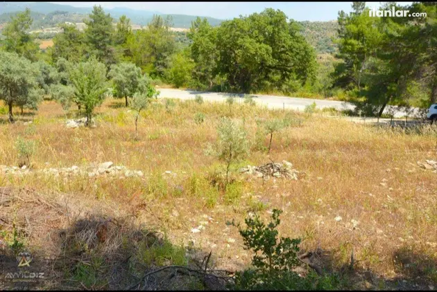 Muğla Milas Çakıralan Mahallesi 855 m² satılık tarla arsa - Fotoğraf 2
