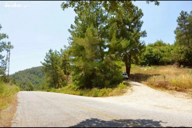 Muğla Milas Çakıralan Mahallesi 855 m² satılık tarla arsa - Fotoğraf 3