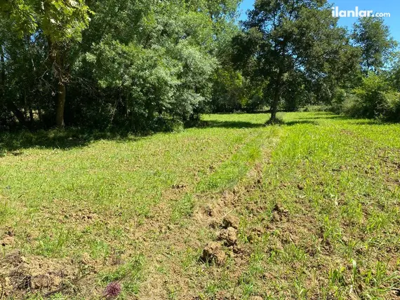 Kocaeli Kandıra Akdurak Mahallesi 1.203 m² satılık tarla arsa - Fotoğraf 2