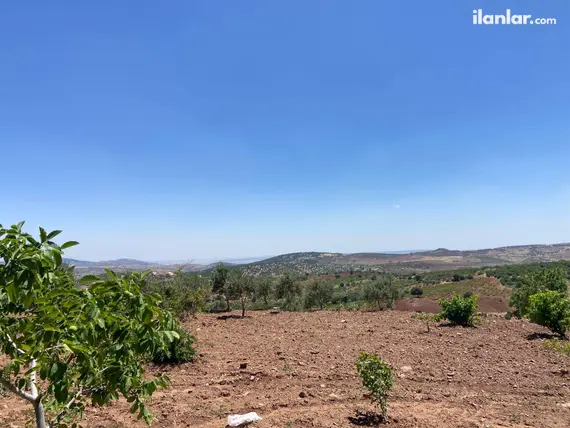 Kahramanmaraş Pazarcık Taşdemir Mahallesi 40.000 m² satılık bağ & Bahçe arsa - Fotoğraf 2