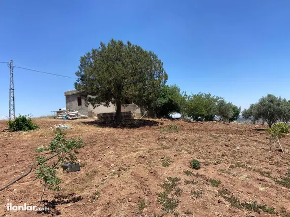 Kahramanmaraş Pazarcık Taşdemir Mahallesi 40.000 m² satılık bağ & Bahçe arsa - Fotoğraf 3