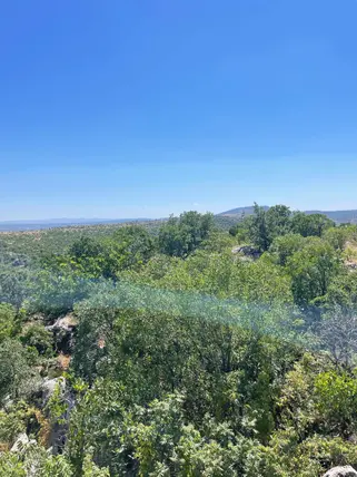 Kahramanmaraş Pazarcık Tilkiler Mahallesi 21.978 m² satılık bağ & Bahçe arsa - Fotoğraf 3