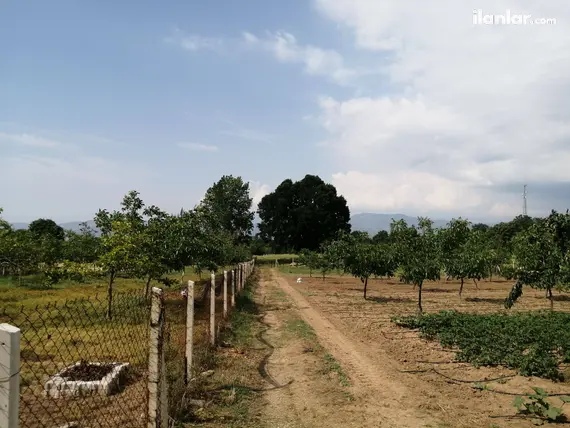 Bursa Orhaneli Karaoğlanlar Mahallesi 19.919 m² satılık tarla arsa - Fotoğraf 3