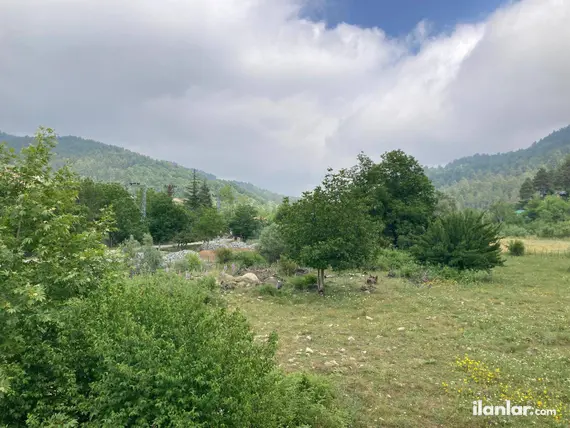 Kahramanmaraş Andırın Yeşiltepe Mahallesi 1.964 m² satılık tarla arsa - Fotoğraf 2