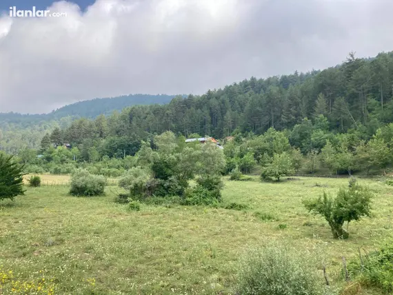 Kahramanmaraş Andırın Yeşiltepe Mahallesi 1.964 m² satılık tarla arsa - Fotoğraf 3