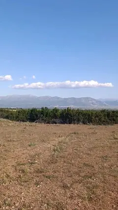 Denizli Tavas Vakıf Mahallesi 29.744 m² satılık tarla arsa - Fotoğraf 2