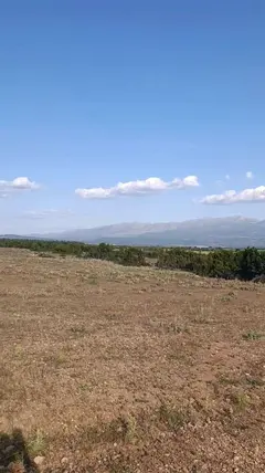 Denizli Tavas Vakıf Mahallesi 29.744 m² satılık tarla arsa - Fotoğraf 3