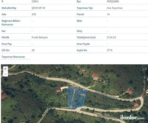 Ordu Perşembe Şenyurt Mahallesi 2.125 m² satılık bağ & Bahçe arsa - Fotoğraf 2