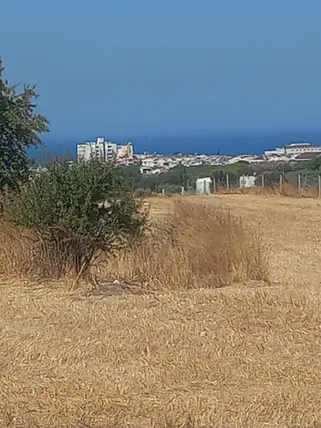 Aydın Didim Mersindere Mahallesi 217 m² satılık konut arsa - Fotoğraf 2
