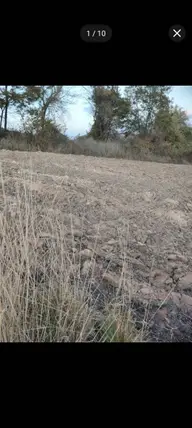 Balıkesir Gönen Turplu Mahallesi 6.800 m² satılık tarla arsa - Fotoğraf 2