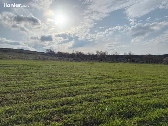Gaziantep Şahinbey Gülpınar Mahallesi 1.030 m² satılık arazi arsa - Fotoğraf 2