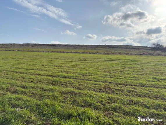 Gaziantep Şahinbey Gülpınar Mahallesi 1.030 m² satılık arazi arsa - Fotoğraf 3