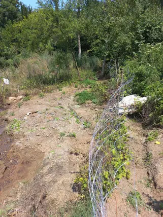 Bursa İnegöl Cemiyet Mahallesi 55 m² satılık bağ & Bahçe arsa - Fotoğraf 2