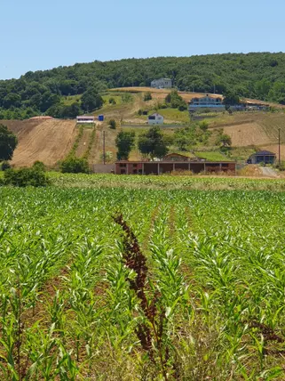 İlan Görseli 2